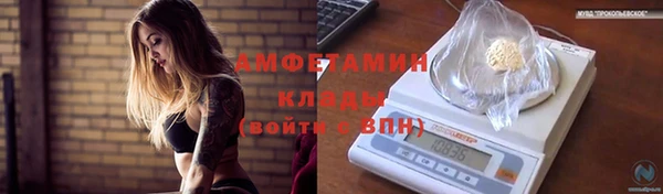 молекула духа Покровск