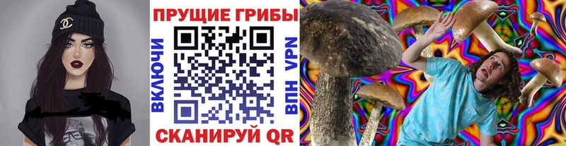 мориарти Telegram  KRAKEN ТОР  Кулебаки  Галлюциногенные грибы Magic Shrooms 
