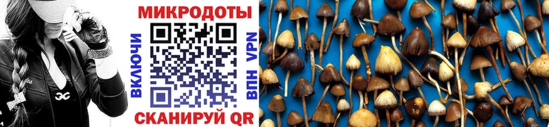 Псилоцибиновые грибы Psilocybe Кулебаки